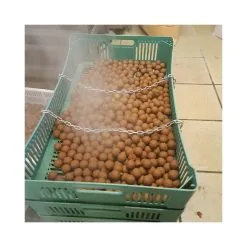 Orbiter Baits Bouillettes Fraiches Monster Crab Orbiter 1kg -Cannes Vente bouillette fraiche monster crab orbiter 2