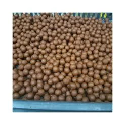 Orbiter Baits Bouillettes Fraiches Scopex Liver 1kg
