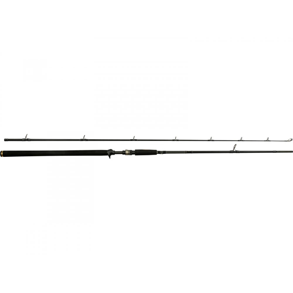 Canne Casting W3 Powercast-T 2nd 233cm 3XH 60-150gr Westin 1 Canne Casting W3 Powercast-T 2nd 233cm 3XH 60-150gr Westin