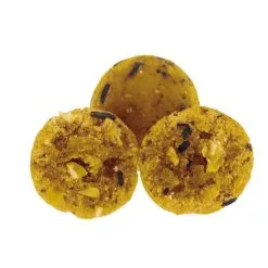 Classic Bouillettes 4kg 20mm Banane Scopex Fun Fishing