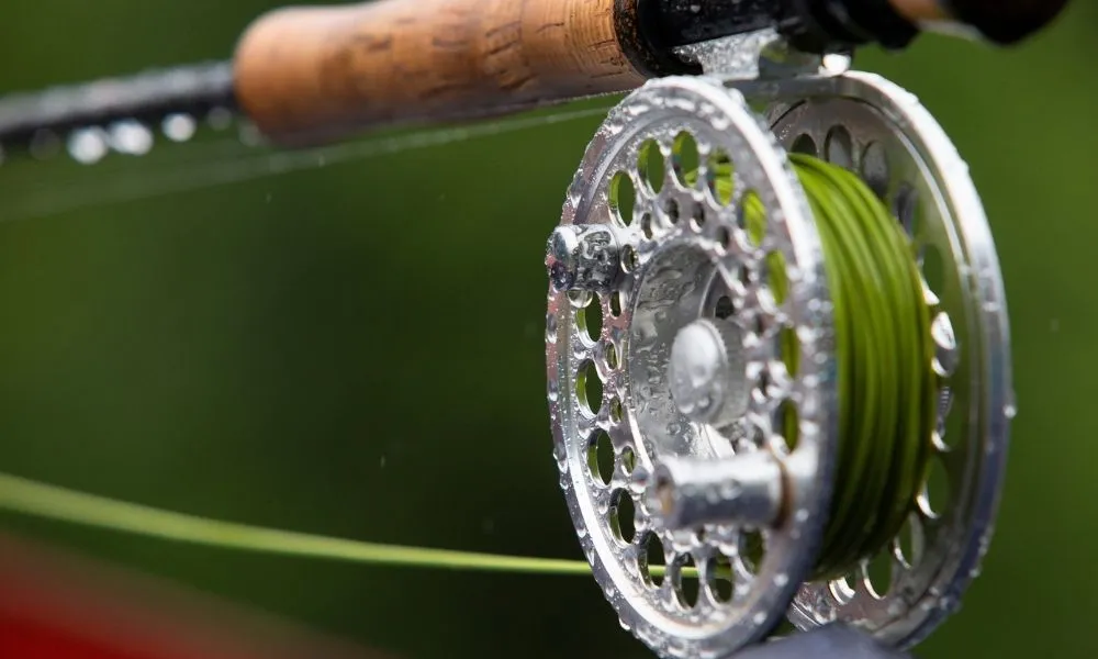 Cannes Vente -Cannes Vente coloradofishingcompany 137498 fly reel terminology blogbanner1